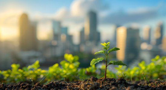 Land Use Framework consultation response by the Sustainable Soils Alliance